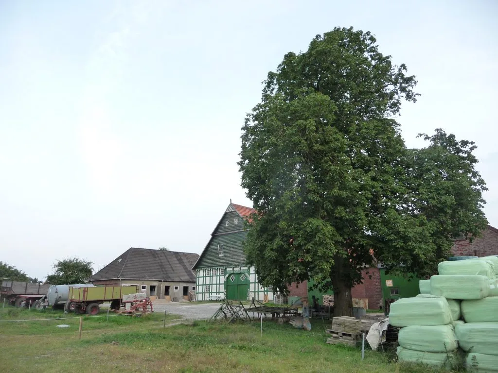Rückansicht von Hof Abing