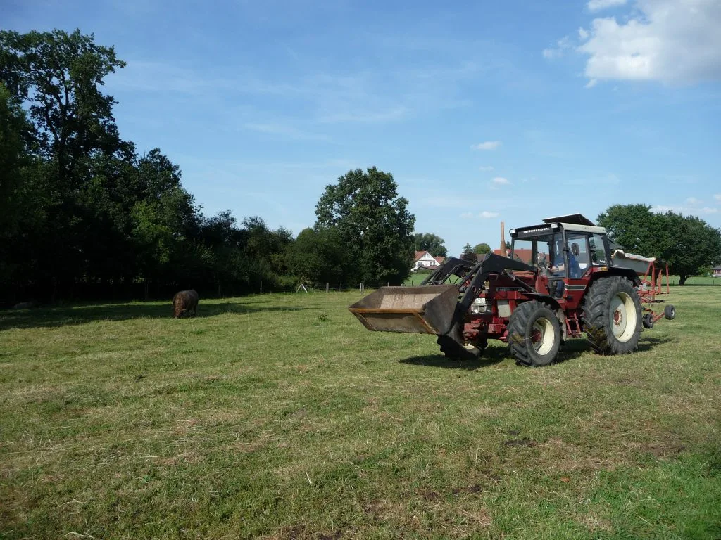 Traktor auf der Gallowaywiese