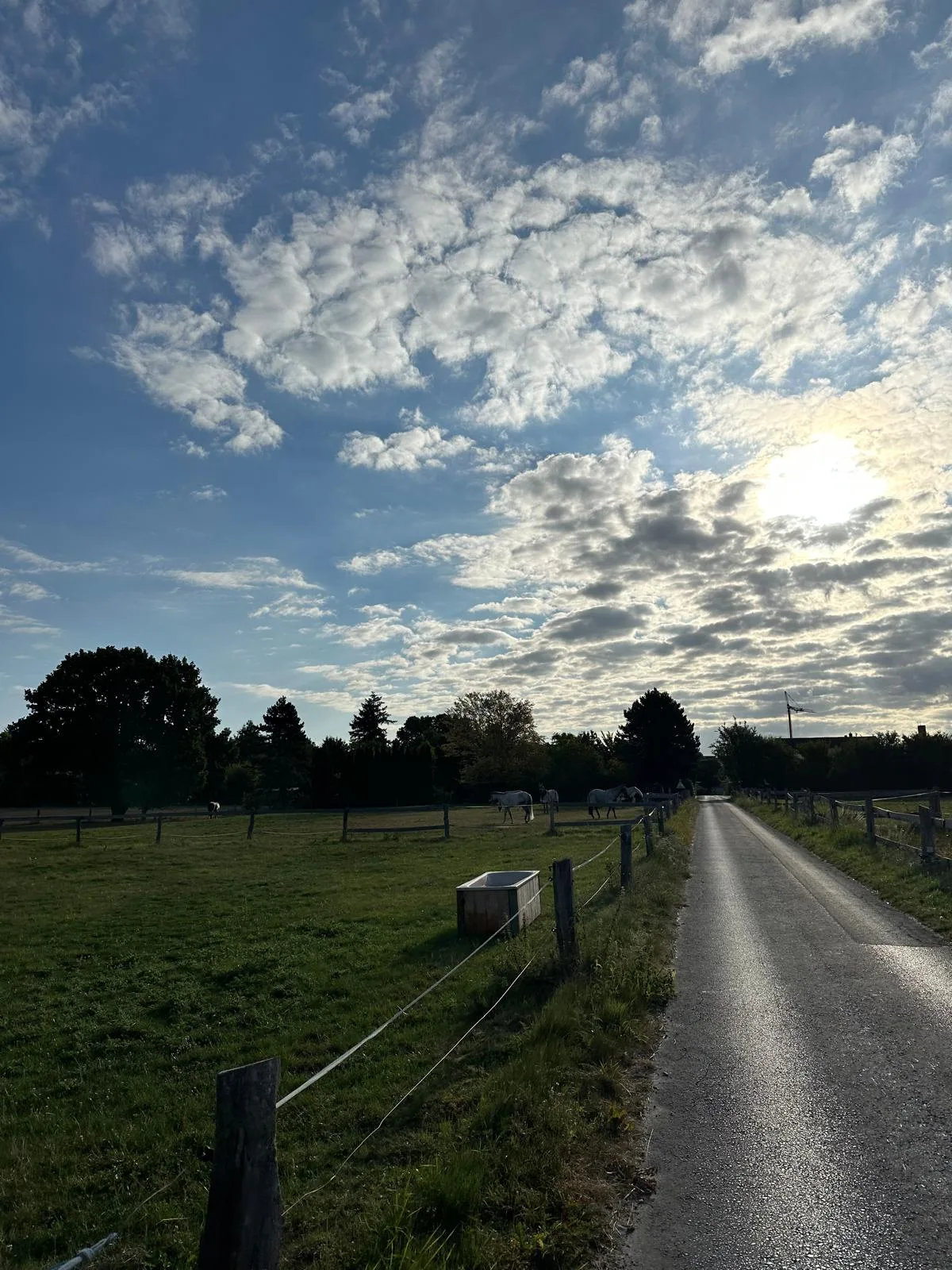 Feldweg durch die Landschaft am Hof