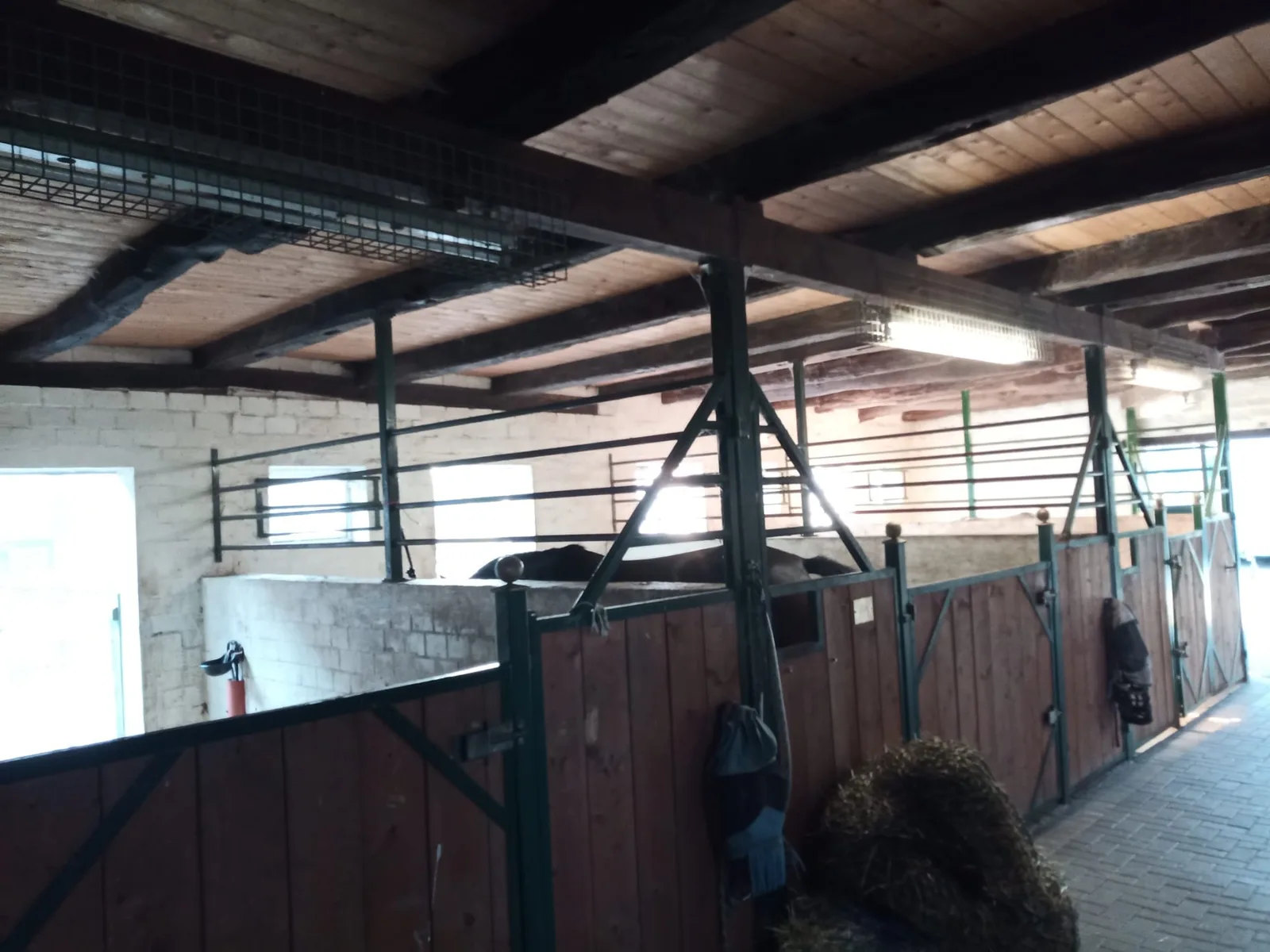 Helle, luftige Pferdeboxen im sanierten Stall des Hofes Abing