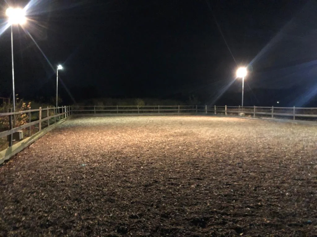 Reitplatz am Abend bei künstlichem Licht